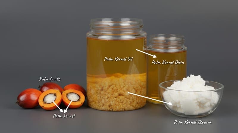 Palm Kernel Stearin – Oleochemicals product from Bio Green Fuels