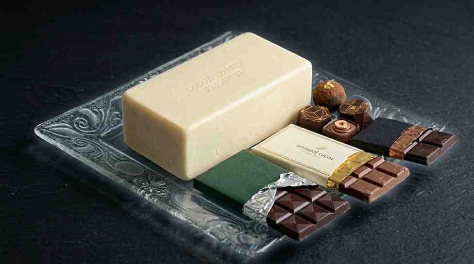 Cocoa Butter Substitute (CBS) – edible-oils product from Bio Green Fuels